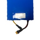 Battery Long Range 7 Ah