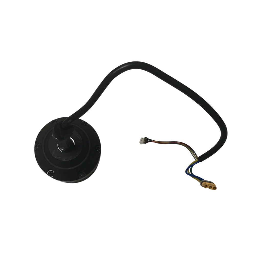 [IDS-PES-399] Moteur 600W Cruz V2